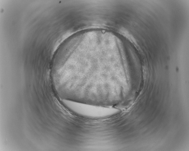 X0000070421260200607072325