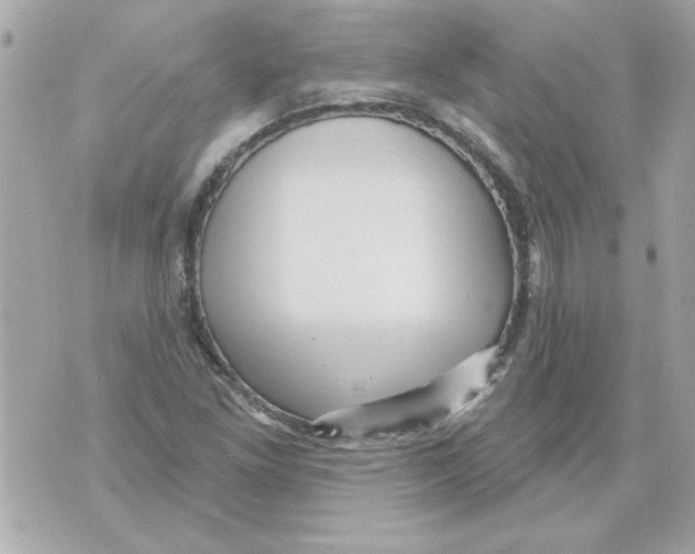 X0000070421261200607072325