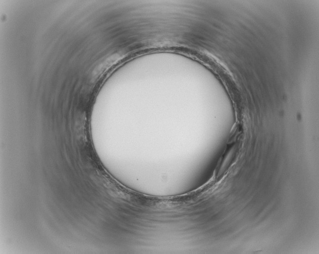 X0000070421265200607072325