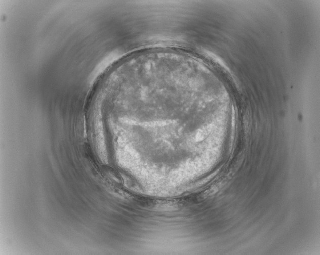 X0000070421267200607072325