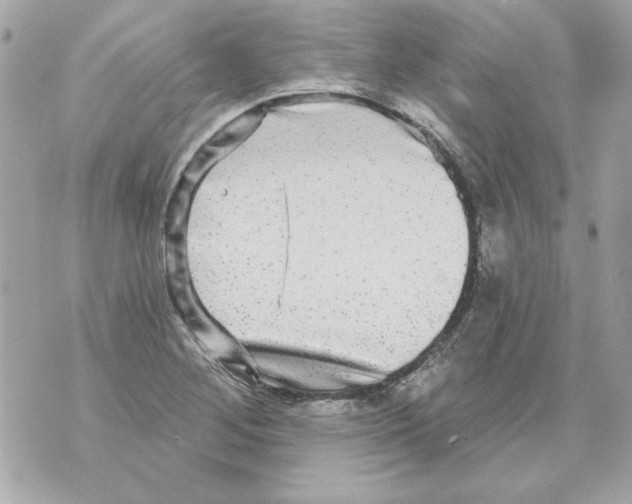 X0000070421268200607072325