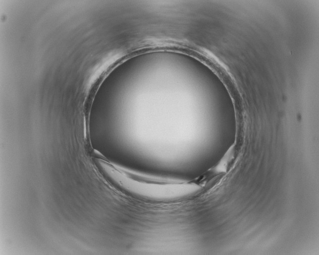 X0000070421269200607072325