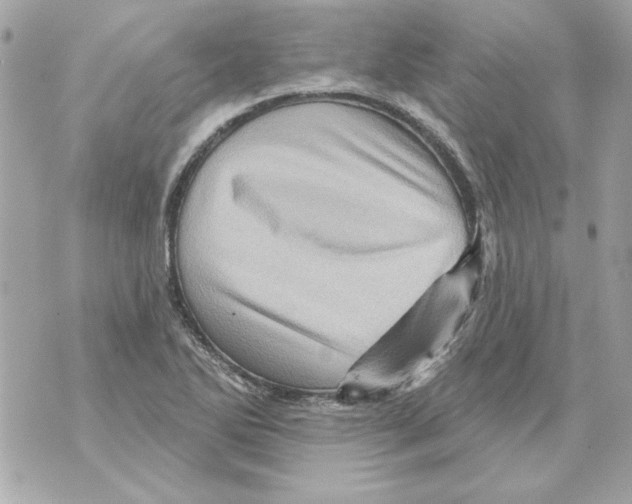 X0000070421270200607072325