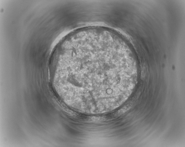 X0000070421271200607072325