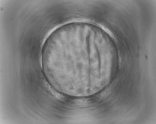 X0000070421272200607072325