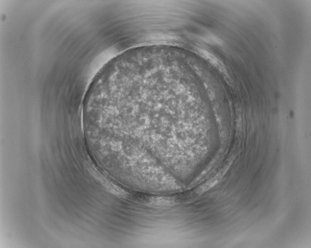 X0000070421275200607072325