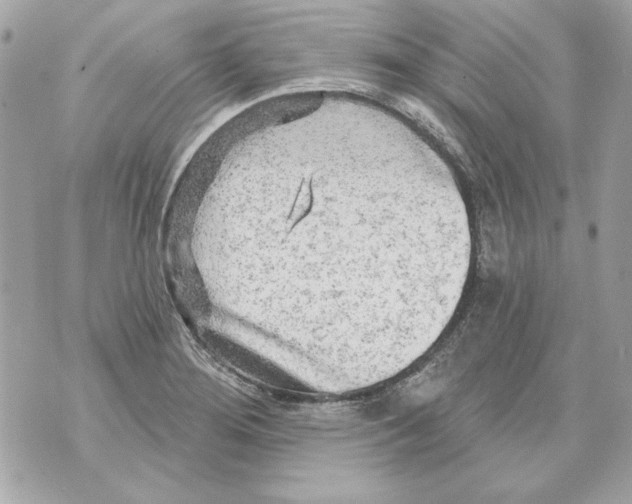 X0000070421276200607072325