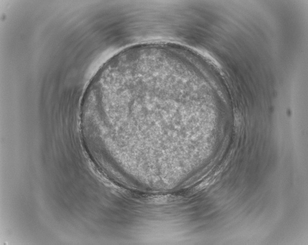 X0000070421279200607072325