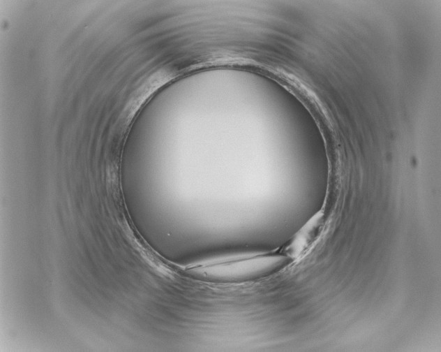 X0000070421281200607072325