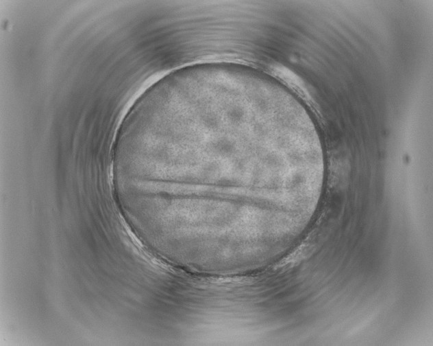 X0000070421284200607072325