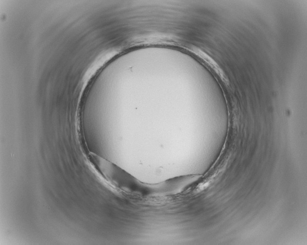 X0000070421285200607072325