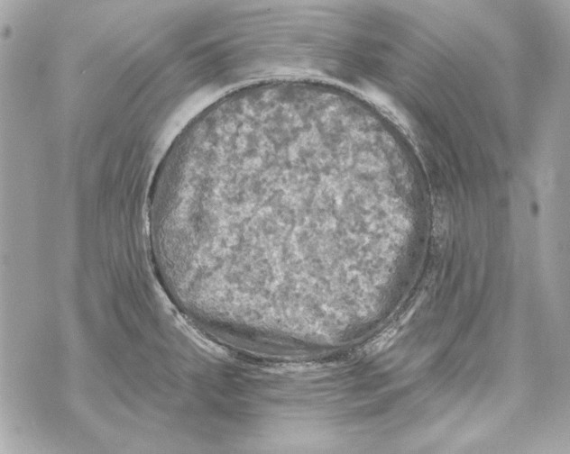 X0000070421287200607072325