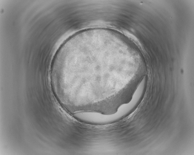 X0000070421288200607072325