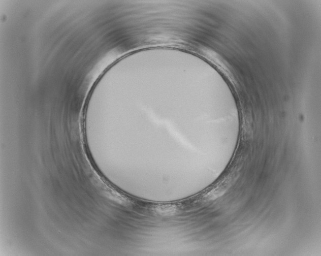 X0000070421291200607072325