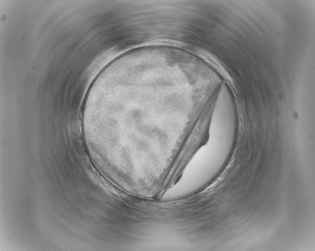 X0000070421292200607072325