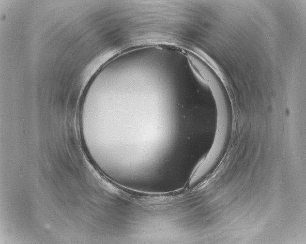 X0000070421293200607072325