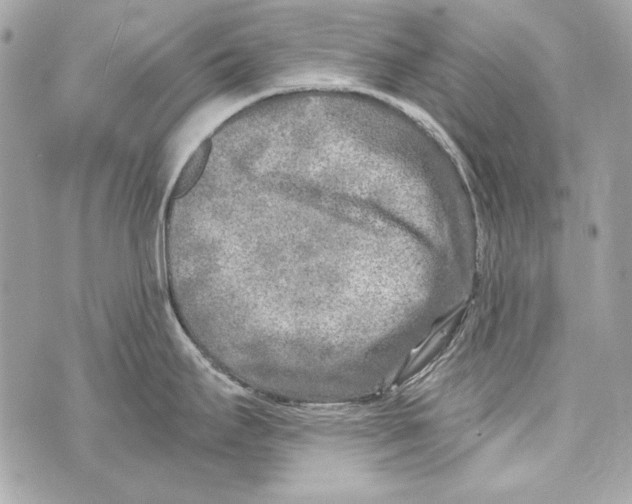 X0000070421295200607072325