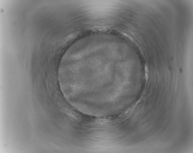 X0000070421297200607072324