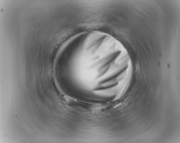 X0000070421300200607072324