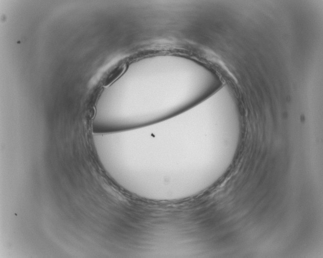 X0000070421304200607072324