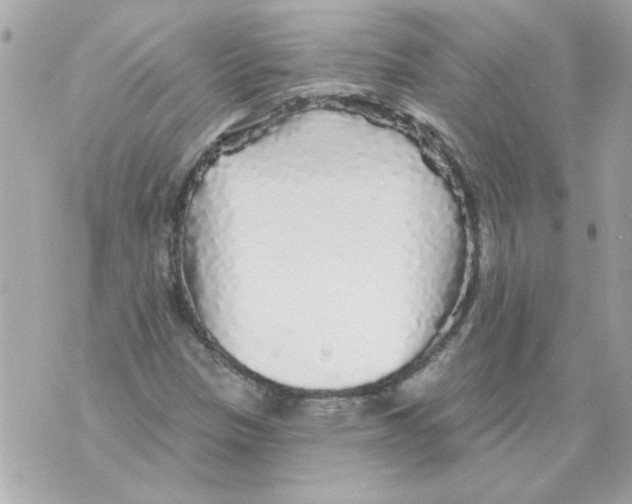 X0000070421305200607072324