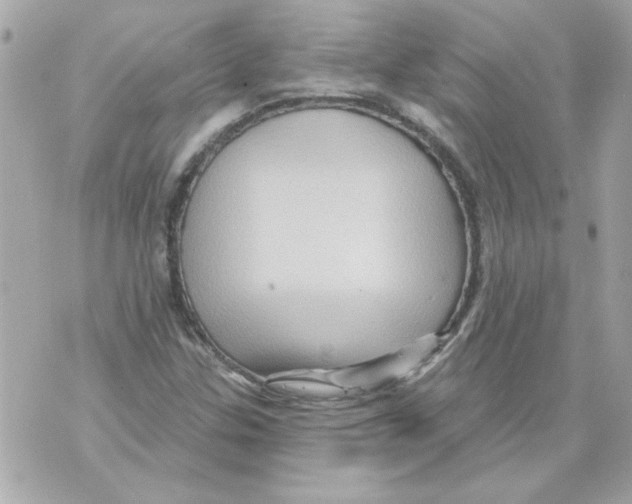 X0000070421307200607072324