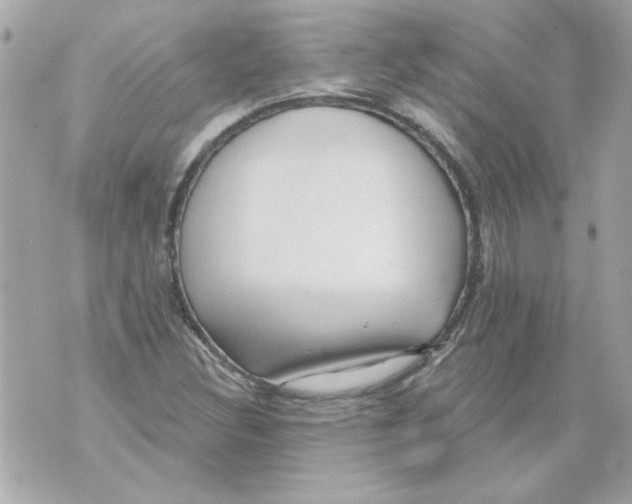 X0000070421308200607072324