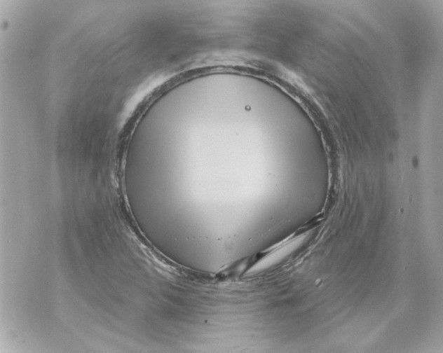 X0000070421312200607072324