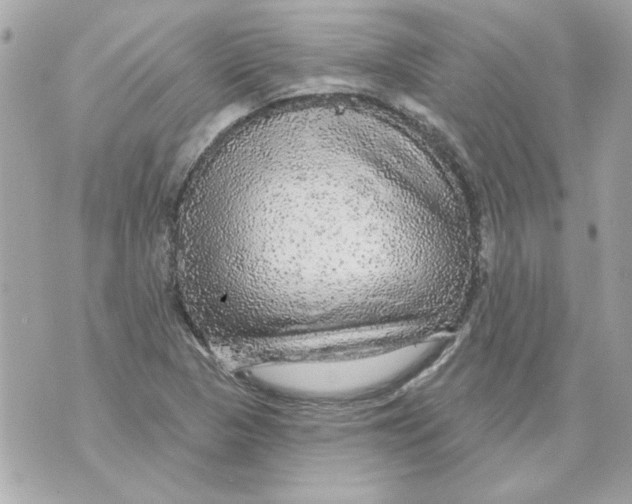 X0000070421313200607072324