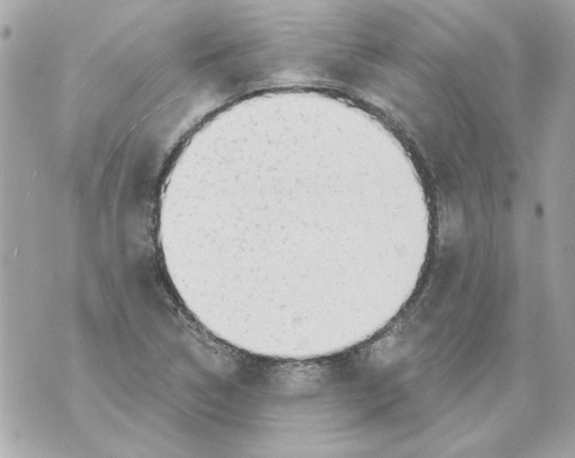 X0000070421314200607072324