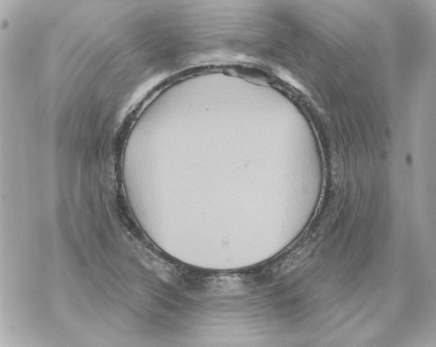 X0000070421315200607072324