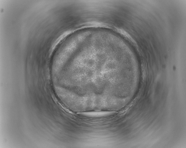 X0000070421318200607072324