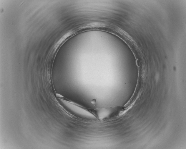 X0000070421321200607072324