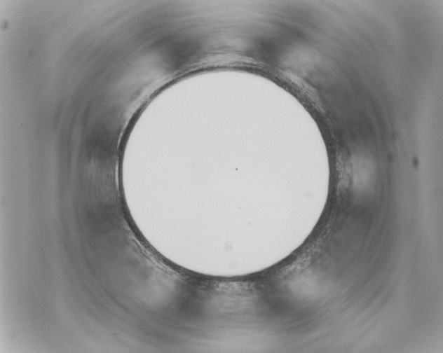 X0000070421322200607072324