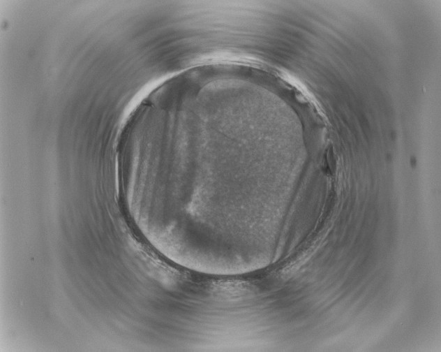 X0000070421323200607072324