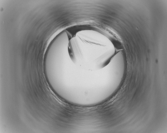 X0000070421324200607072324