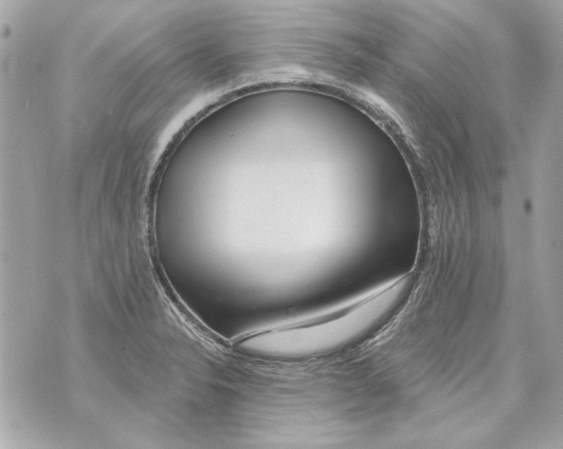 X0000070421326200607072324