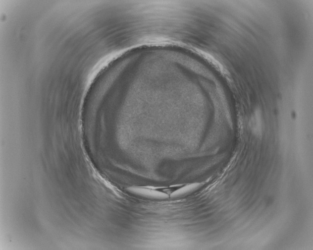 X0000070421327200607072324