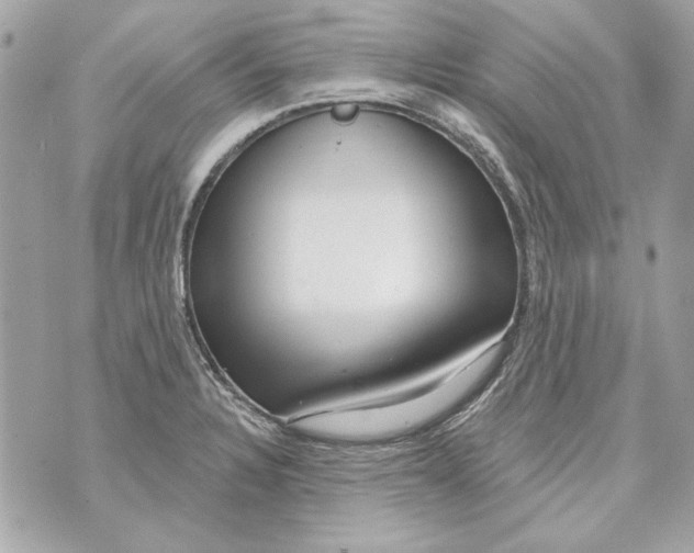 X0000070421328200607072324