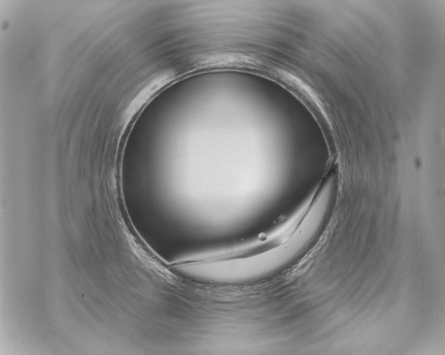 X0000070421330200607072325