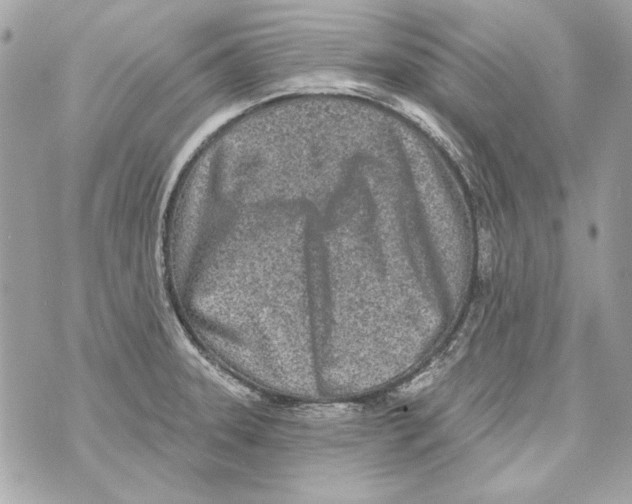 X0000070421331200607072325