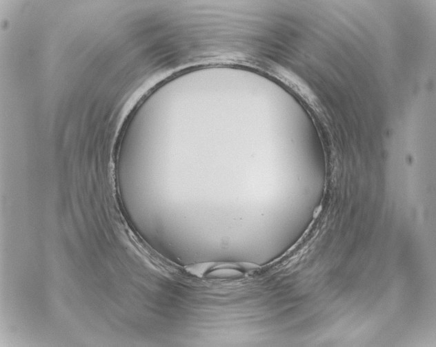 X0000070421332200607072325