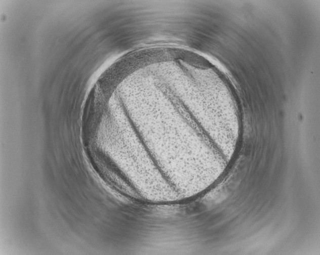 X0000070421333200607072325