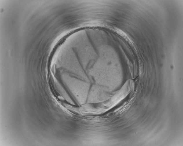 X0000070421334200607072325