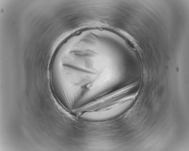 X0000070421335200607072325