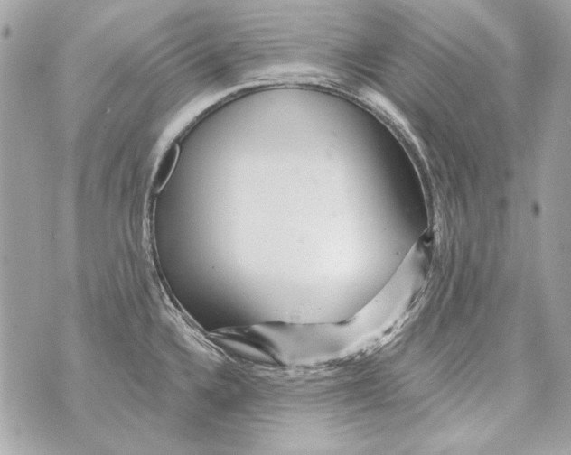 X0000070421336200607072325