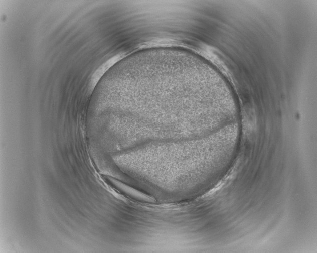 X0000070421337200607072325