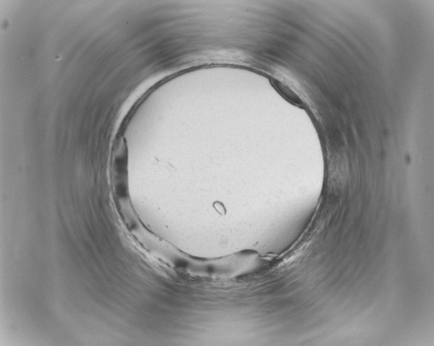 X0000070421339200607072325