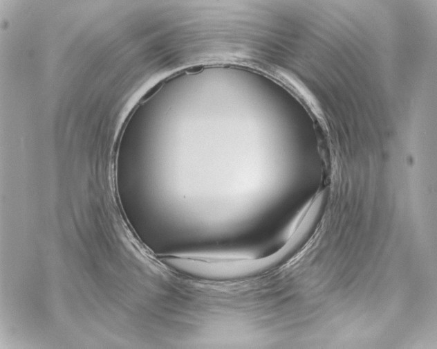 X0000070421340200607072325