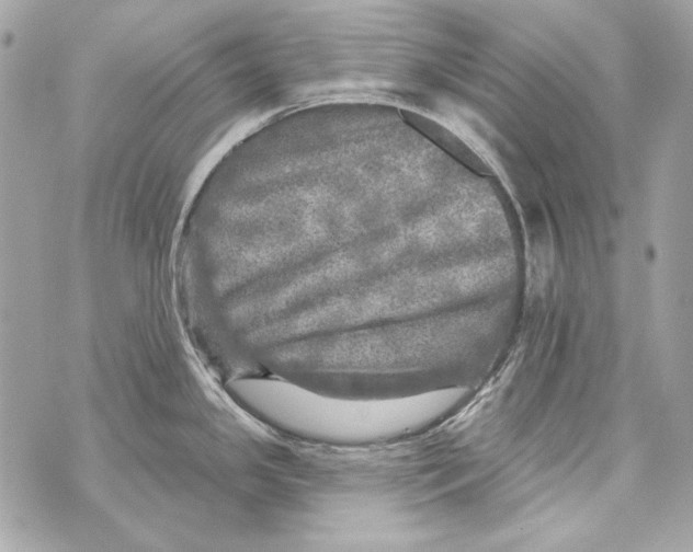 X0000070421341200607072325